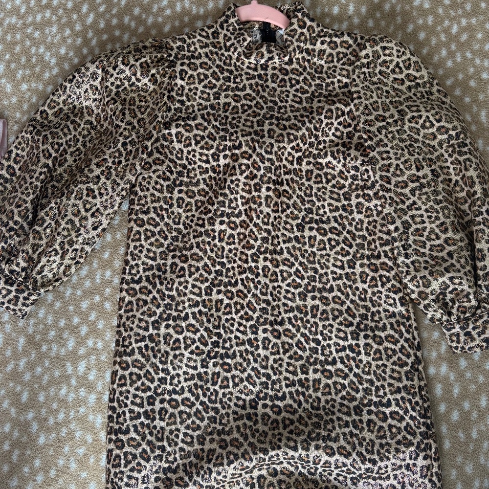 Zara Puff sleeve shimmer leopard dresd